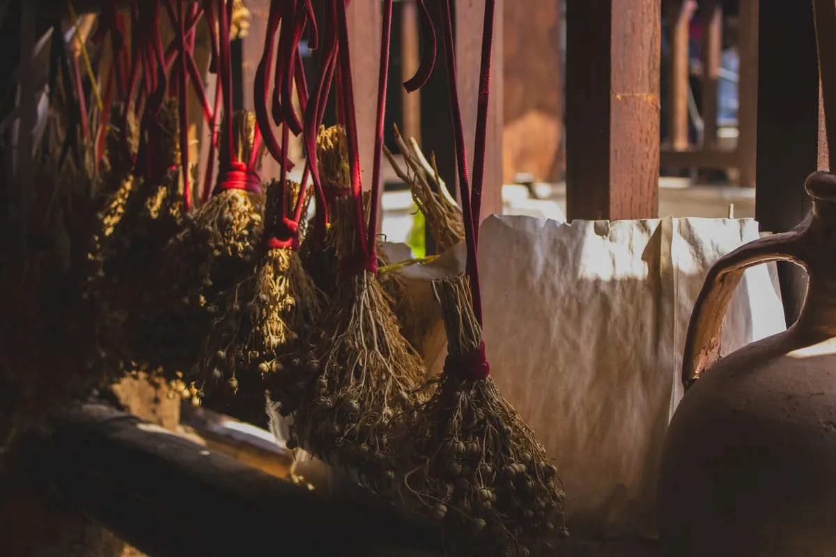 Drying Herbs for Winter: Air, Oven, and Dehydrator Compared