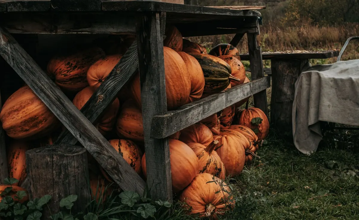 Storing Winter Squash Without a Root Cellar: 5 Cool-Room Methods